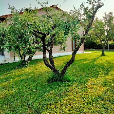 Il Melograno Apartment Лука Екстериор снимка